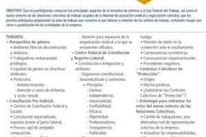 Iniciativa Reforma Laboral 2019 Iniciativa Reforma Laboral 2019