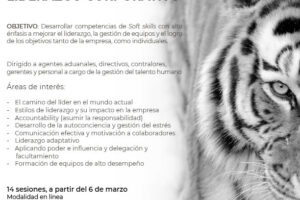Seminario: Desarrollo de habilidades de liderazgo corporativo Seminario: Desarrollo de habilidades de liderazgo corporativo